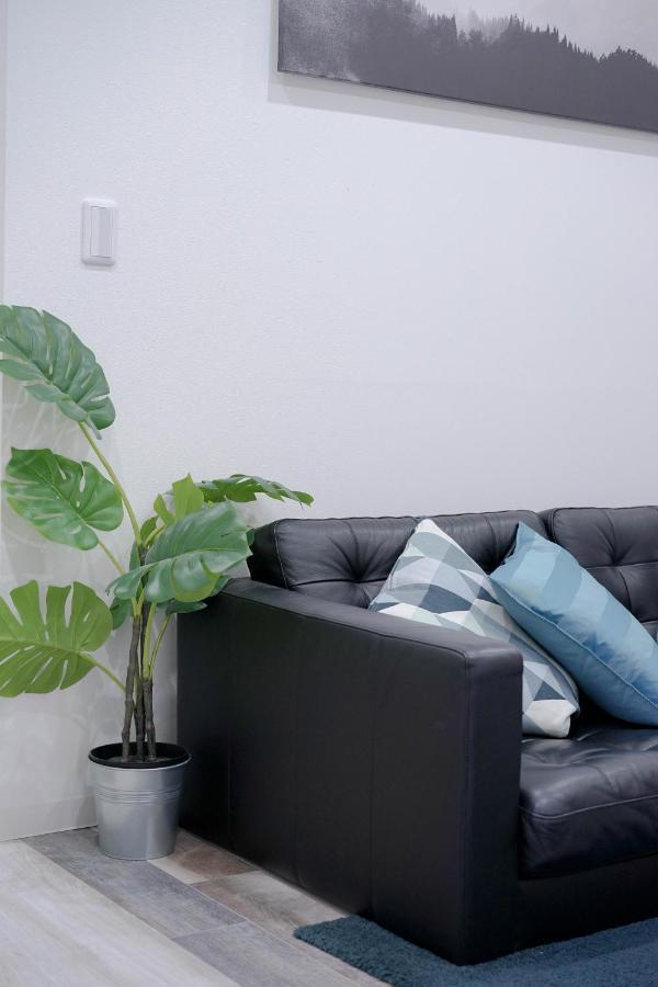 Appartement Zaito Kinshicho Economy 宅东东京横川1民宿 *